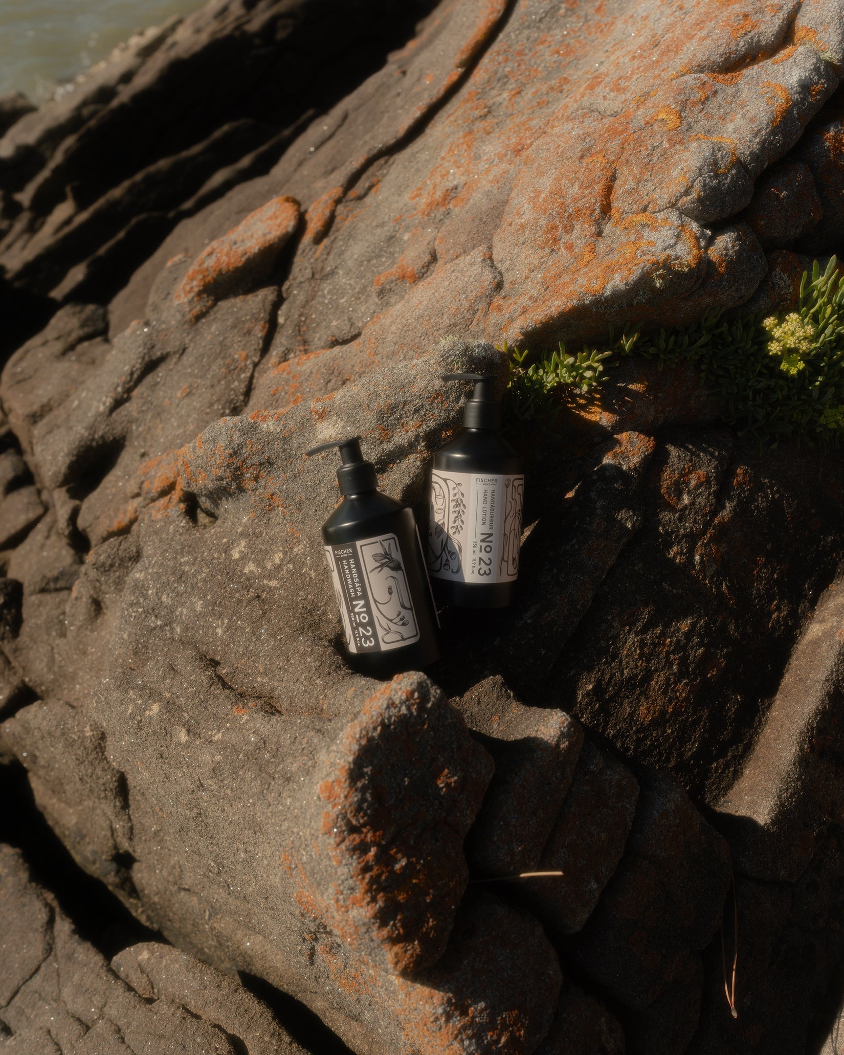 No. 23 Hand Wash & Hand Lotion