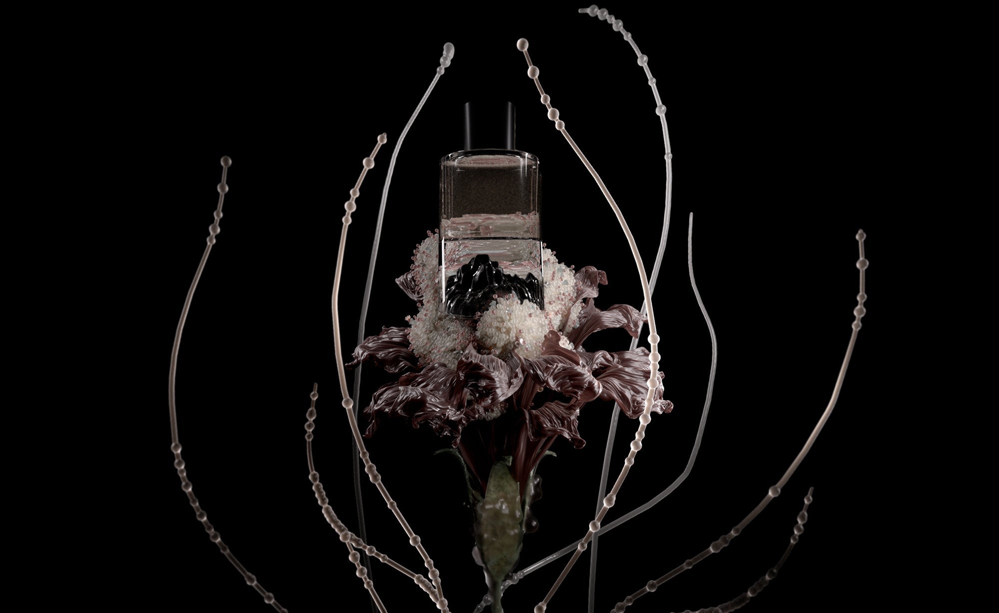 Fischersund New Bottle Design